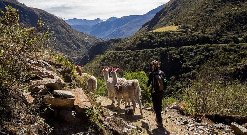 CUSCO: CIRY TOUR, MONTAÑA DE 7 COLORES, VALLE SAGRADO – AGUAS CALIENTES – MACHUPICCHU (5D/4N) SERVICIO GRUPAL Y PRIVADO