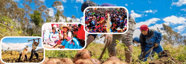 Día del Campesino 2025: Celebrando la Labor Agrícola en Perú